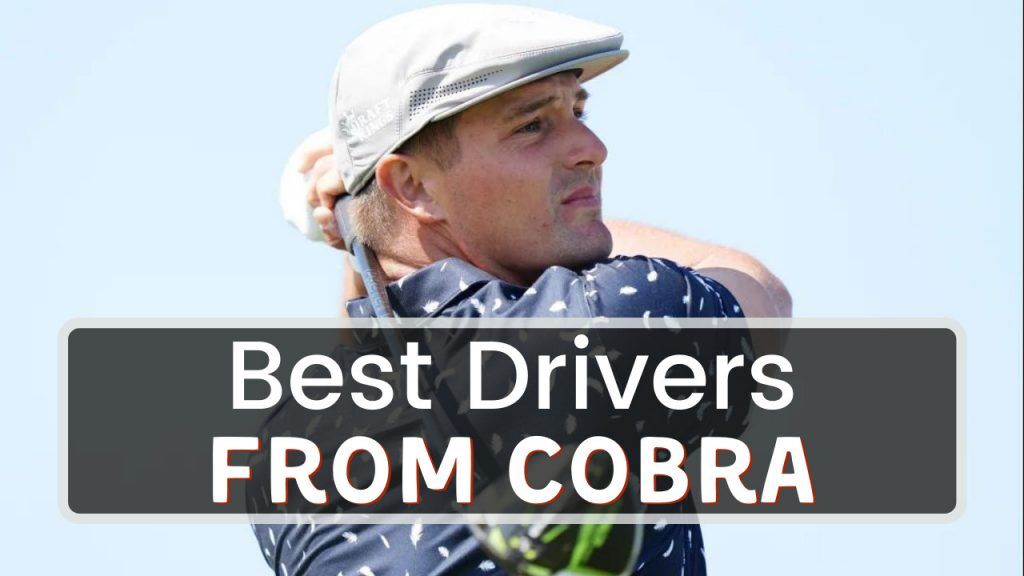 Best Cobra Driver In 2024 Honest InDepth Review